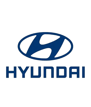 Customer_Hyundai